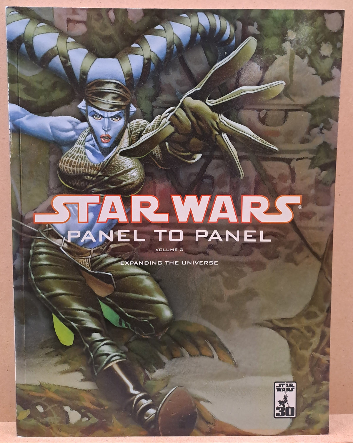 Star Wars: Panel To Panel Volume 2