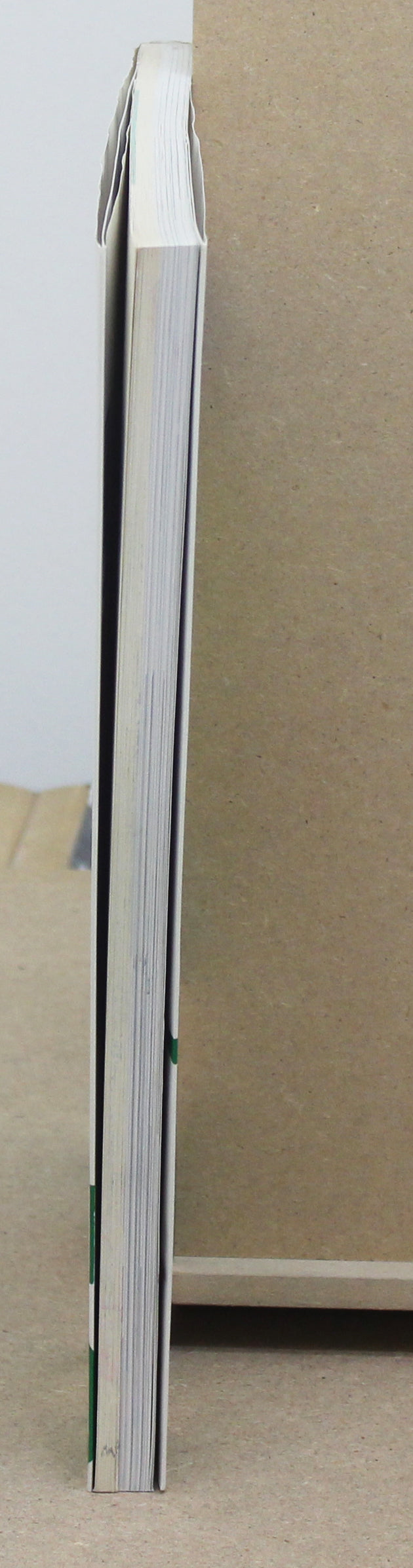 Newtype Illustrated Collection Jo's Boys