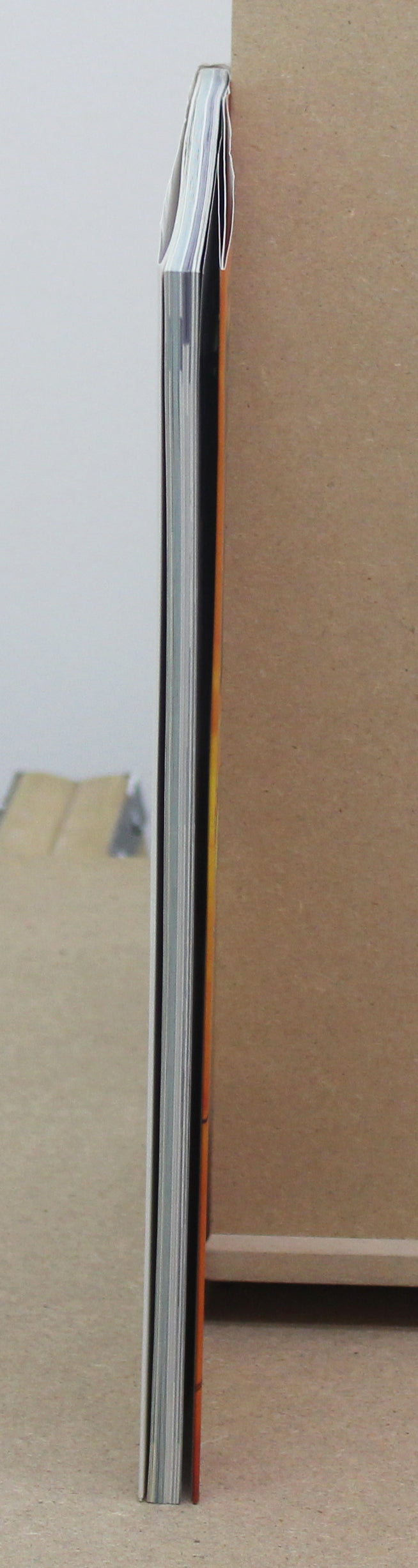 Newtype Collection Parasite Eve