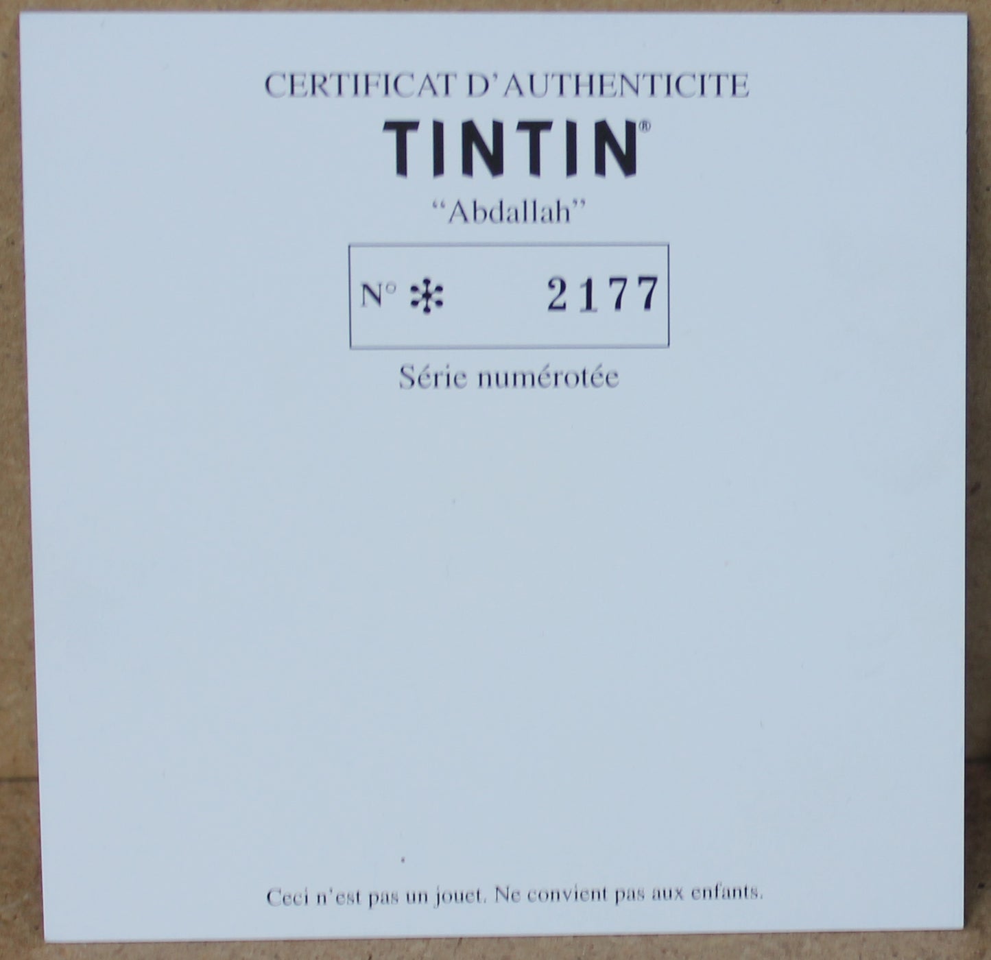 Abdallah et son avion