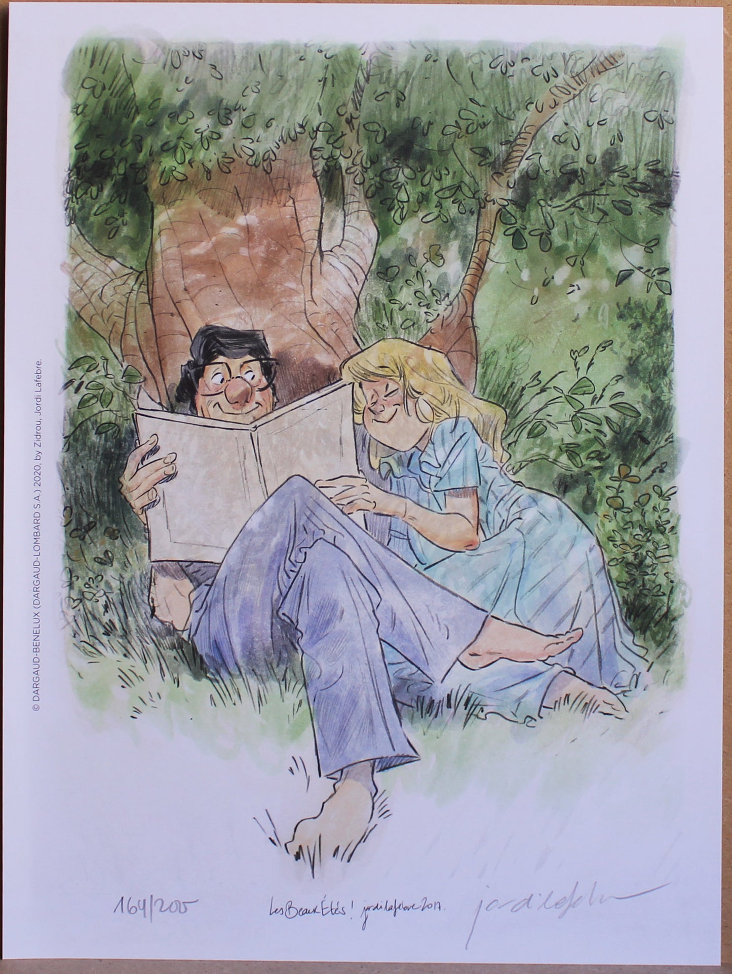 Wundervolle Sommer VZA 3