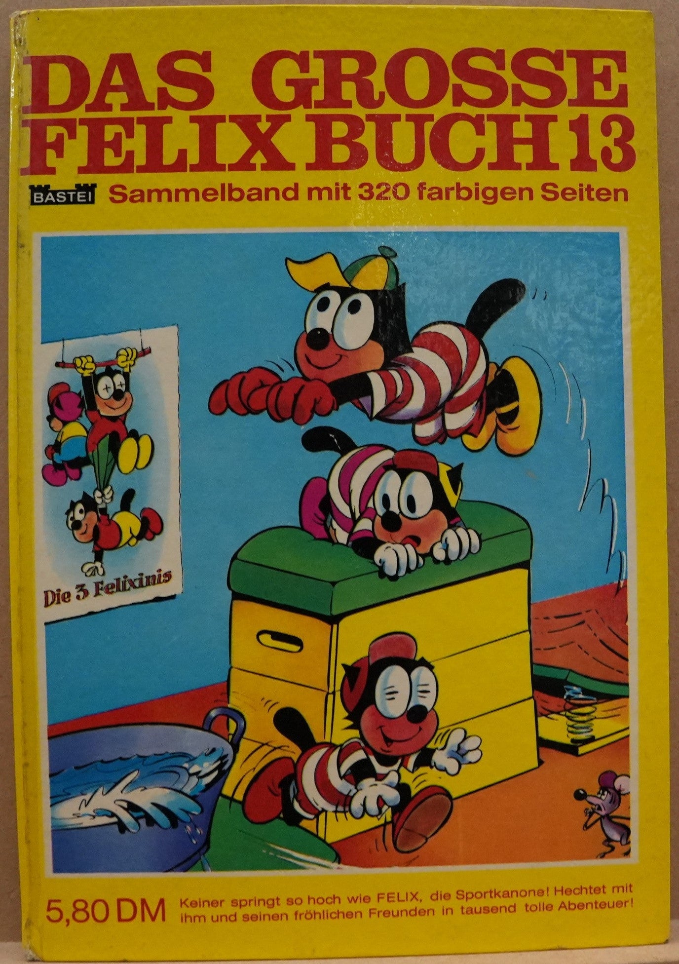 Das Grosse Felix-Buch 13