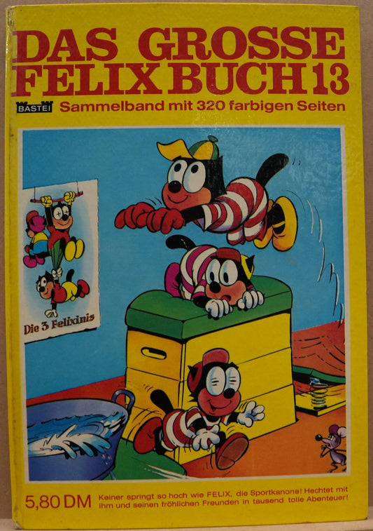 Das Grosse Felix-Buch 13