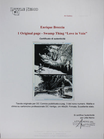 Swamp Thing - Love In Vain #9 Originalseite 3 - Enrique Breccia