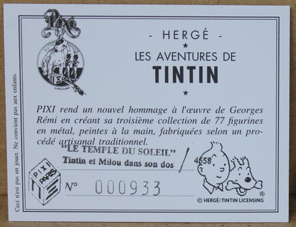 Le Temple Du Soleil, Tintin et Milou dans son dos