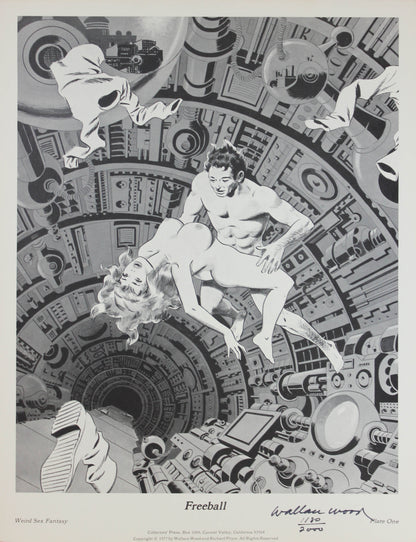 Wally Wood: Weird Sex-Fantasy Portfolio